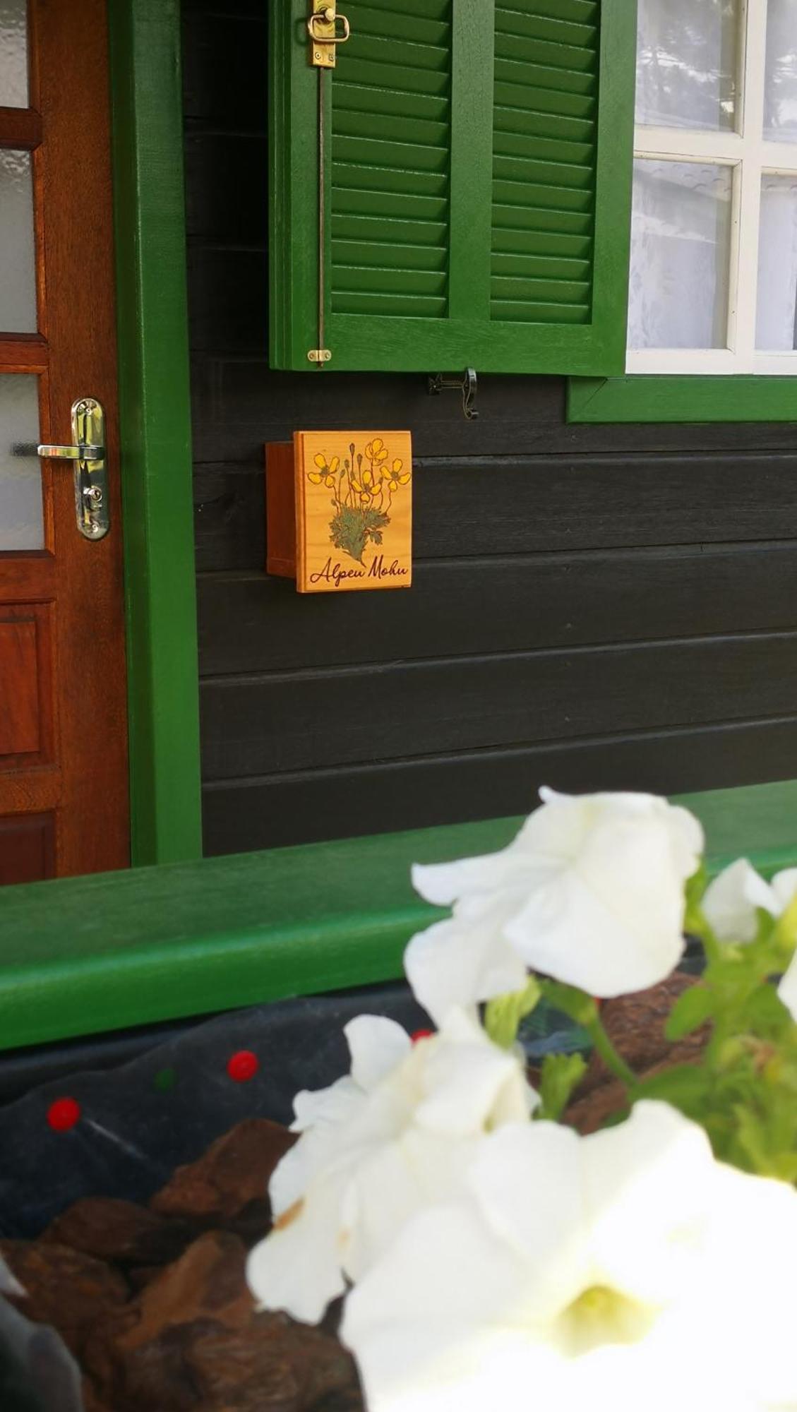 Refugio Alpenblumen Apartment Urubici Phòng bức ảnh